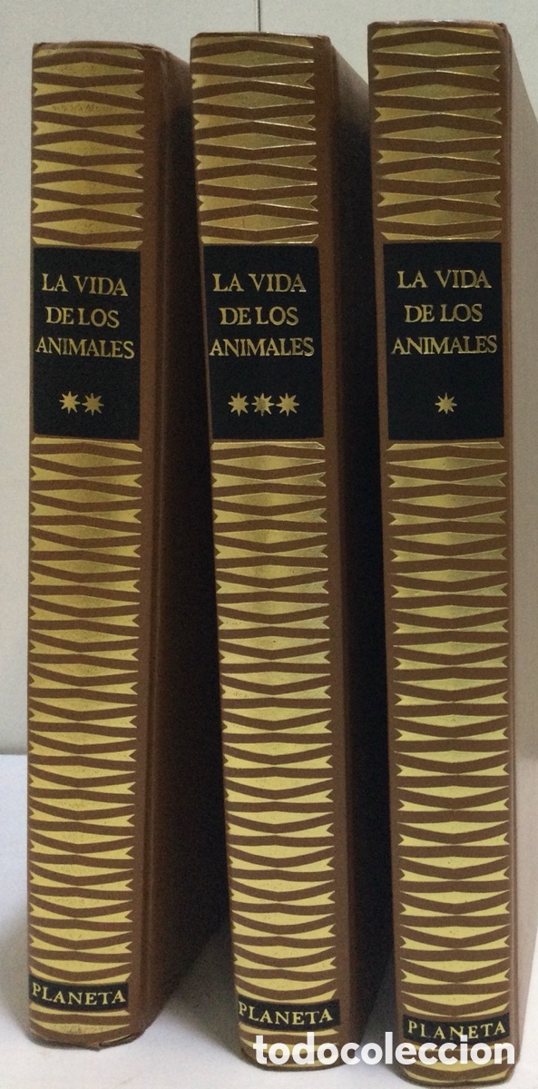 Libros de segunda mano: Colecci&oacute;n &ldquo;la vida de los animales&rdquo; - Foto 6