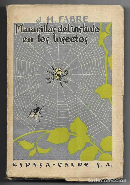 Libros de segunda mano: Maravillas del instinto en los Insectos 1940 - Foto 1