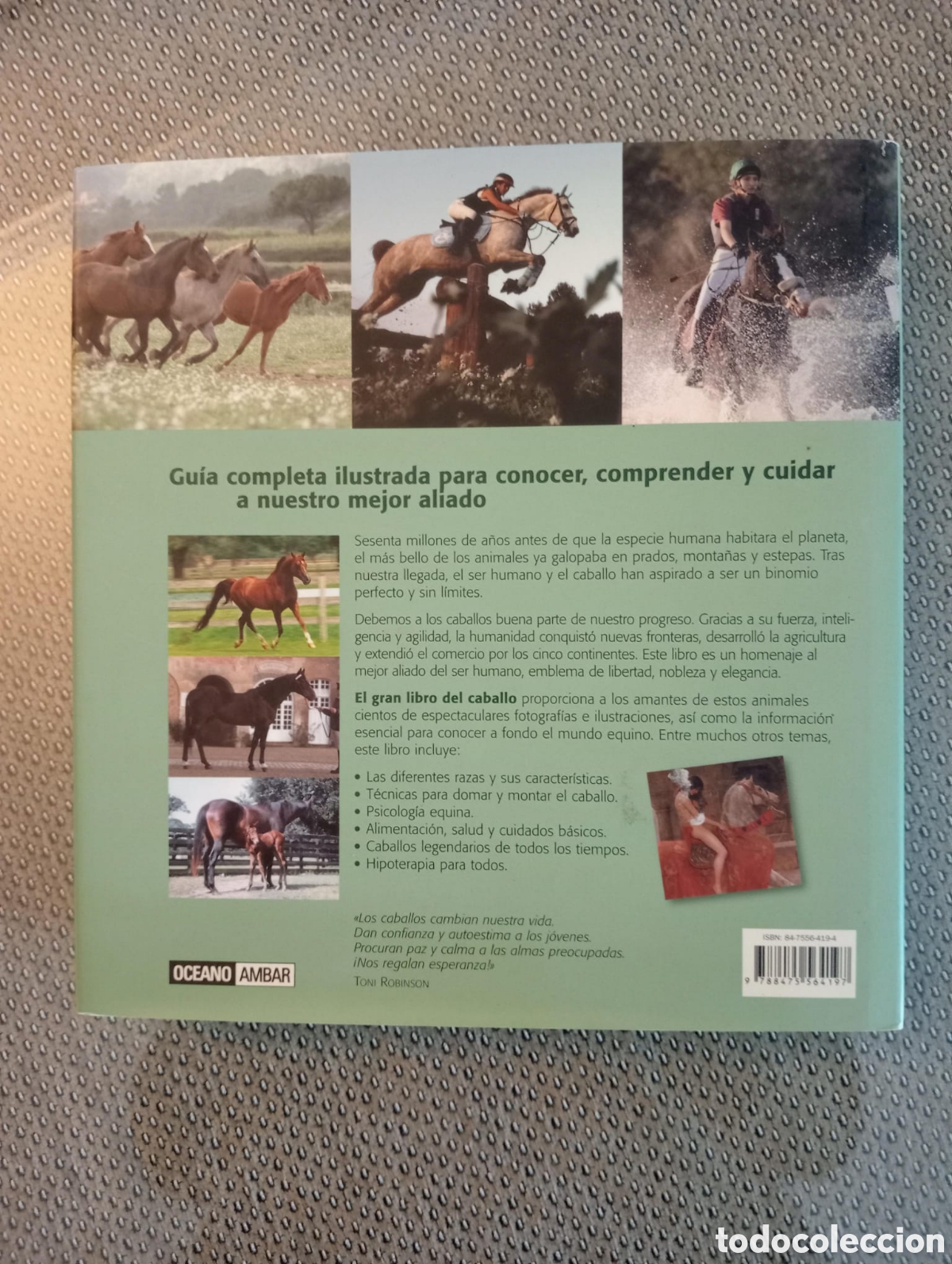 Libros de segunda mano: El gran libro del caballo / Inma Navarro - Foto 5