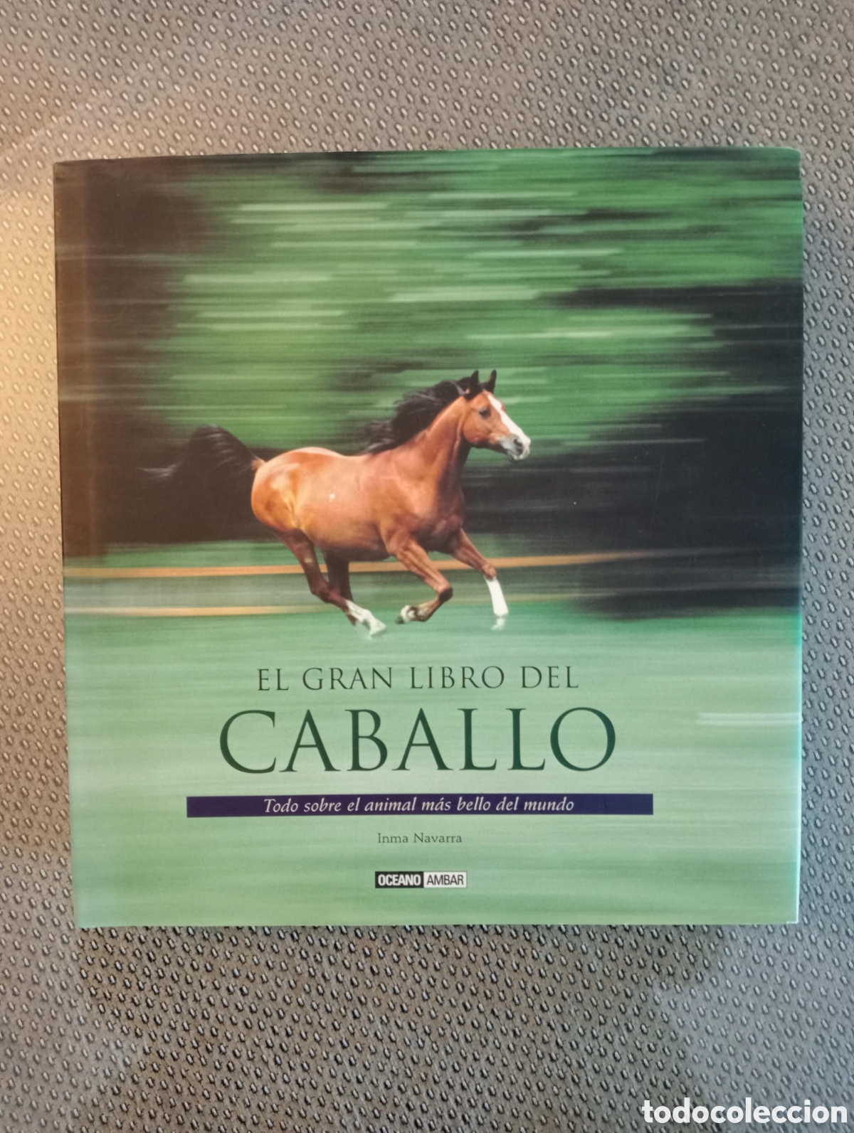 Libros de segunda mano: El gran libro del caballo / Inma Navarro - Foto 1