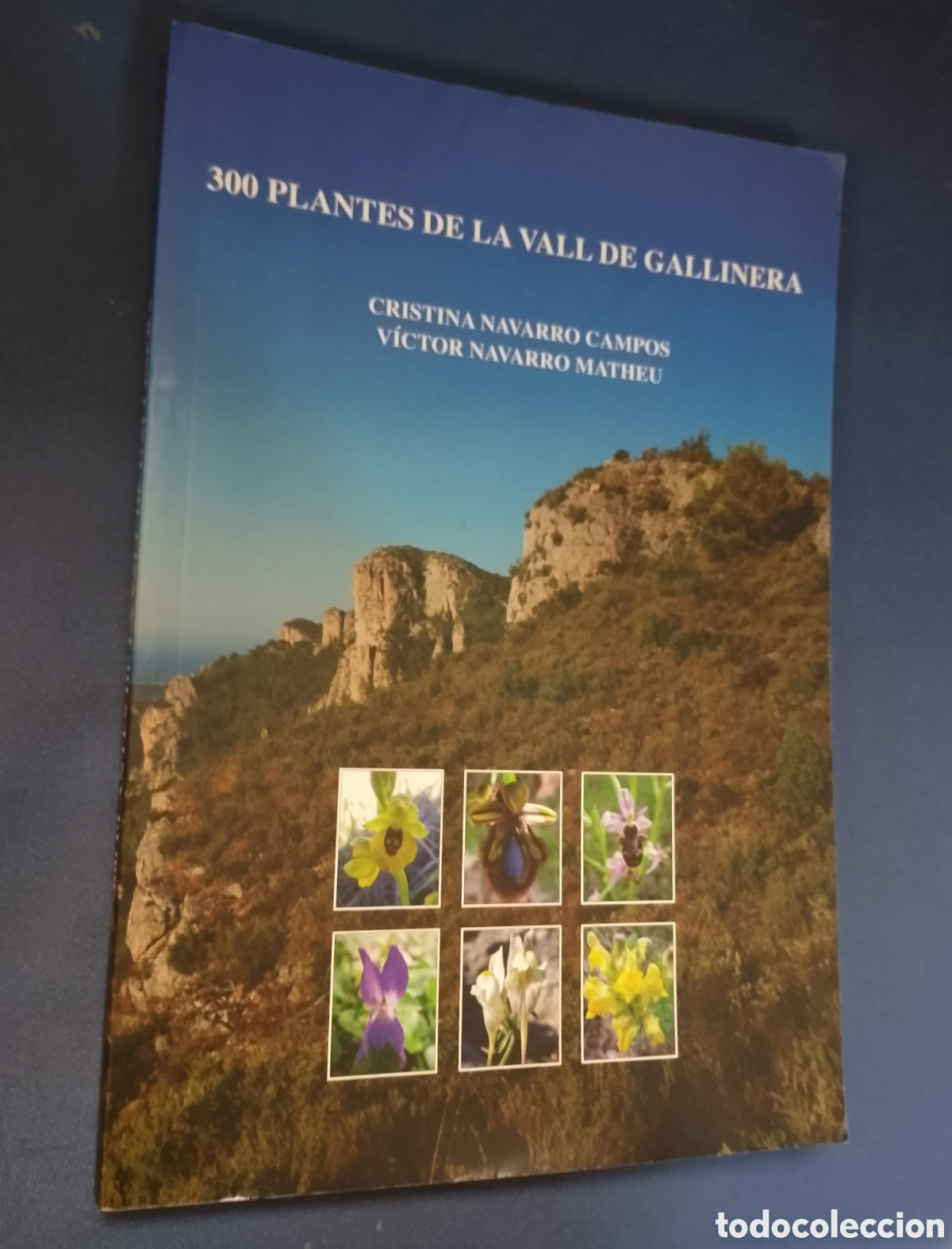 Gebrauchte B&uuml;cher: 300 PLANTES DE LA VALL DE LA GALLINERA. NAVARRO CAMPOS - NAVARRO MATHEU. VALENCIA, 2012