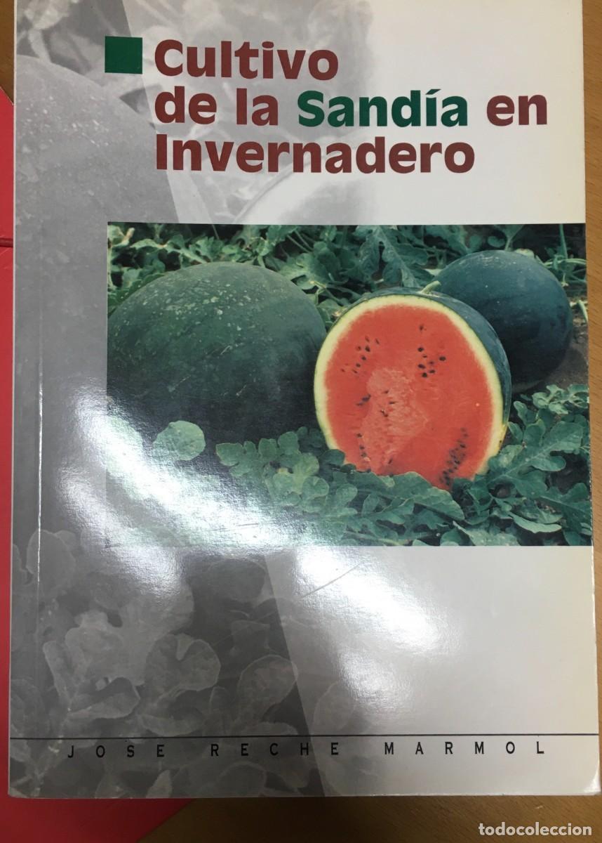 Libros de segunda mano: Cultivo de la Sand&iacute;a en Invernadero - Foto 1
