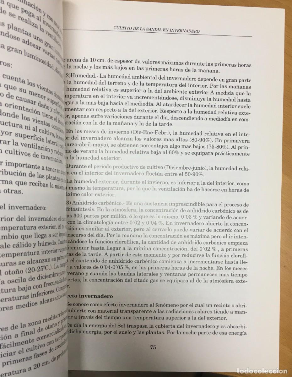 Libros de segunda mano: Cultivo de la Sand&iacute;a en Invernadero - Foto 3