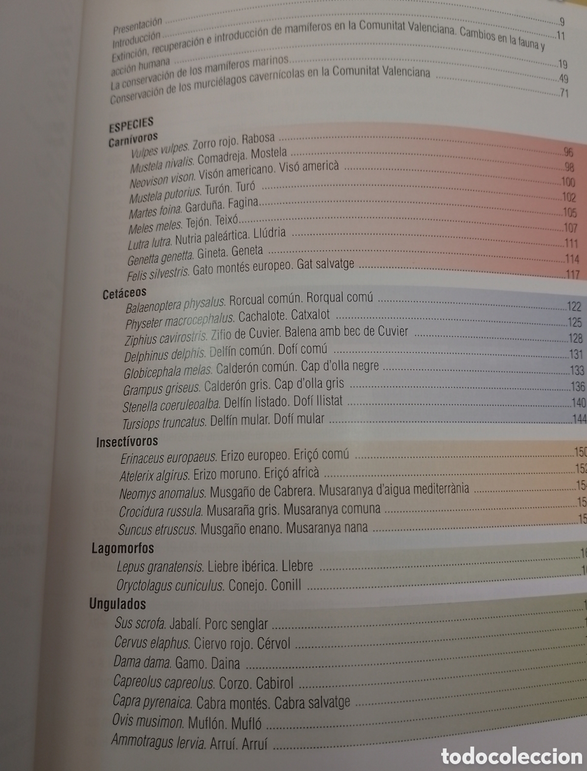 Libros de segunda mano: MAM&Iacute;FEROS DE LA COMUNITAT VALENCIANA. GENERALITAT VALENCIANA, 2012 - Foto 2