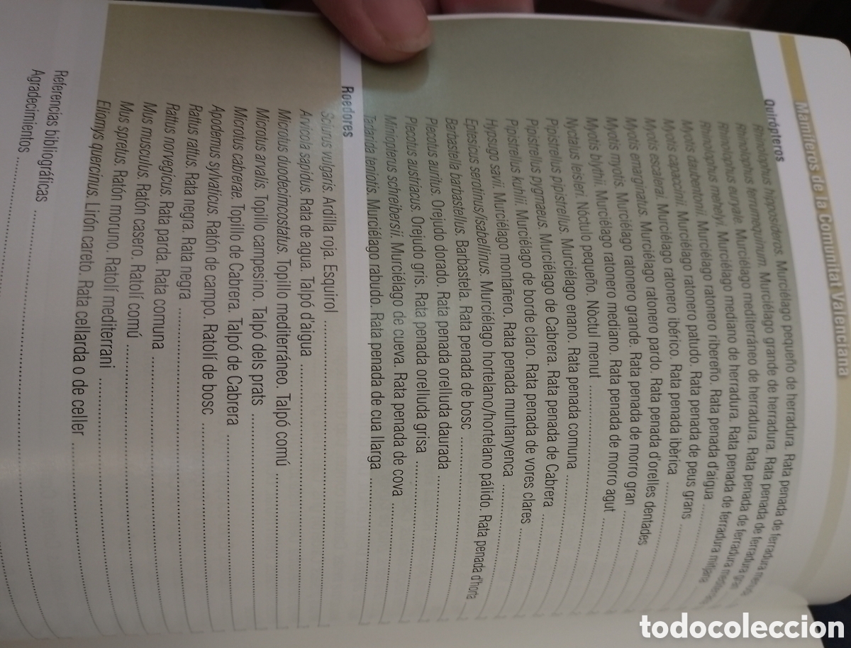 Libros de segunda mano: MAM&Iacute;FEROS DE LA COMUNITAT VALENCIANA. GENERALITAT VALENCIANA, 2012 - Foto 3