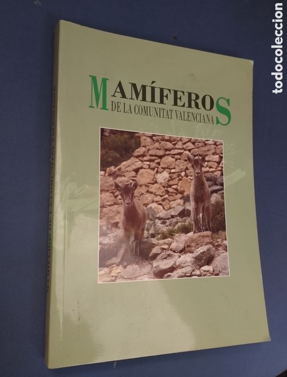 Libros de segunda mano: MAM&Iacute;FEROS DE LA COMUNITAT VALENCIANA. GENERALITAT VALENCIANA, 2012 - Foto 1