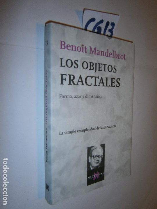 Libros de segunda mano de ciencias: LOS OBJETOS FRACTALES - Foto 1