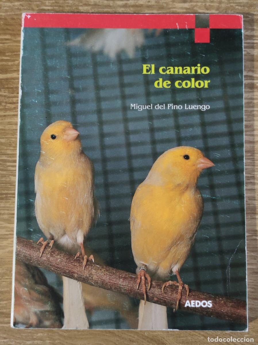 Libros de segunda mano: Libro - El canario de color (1990) Miguel del Pino Luengo - Foto 1