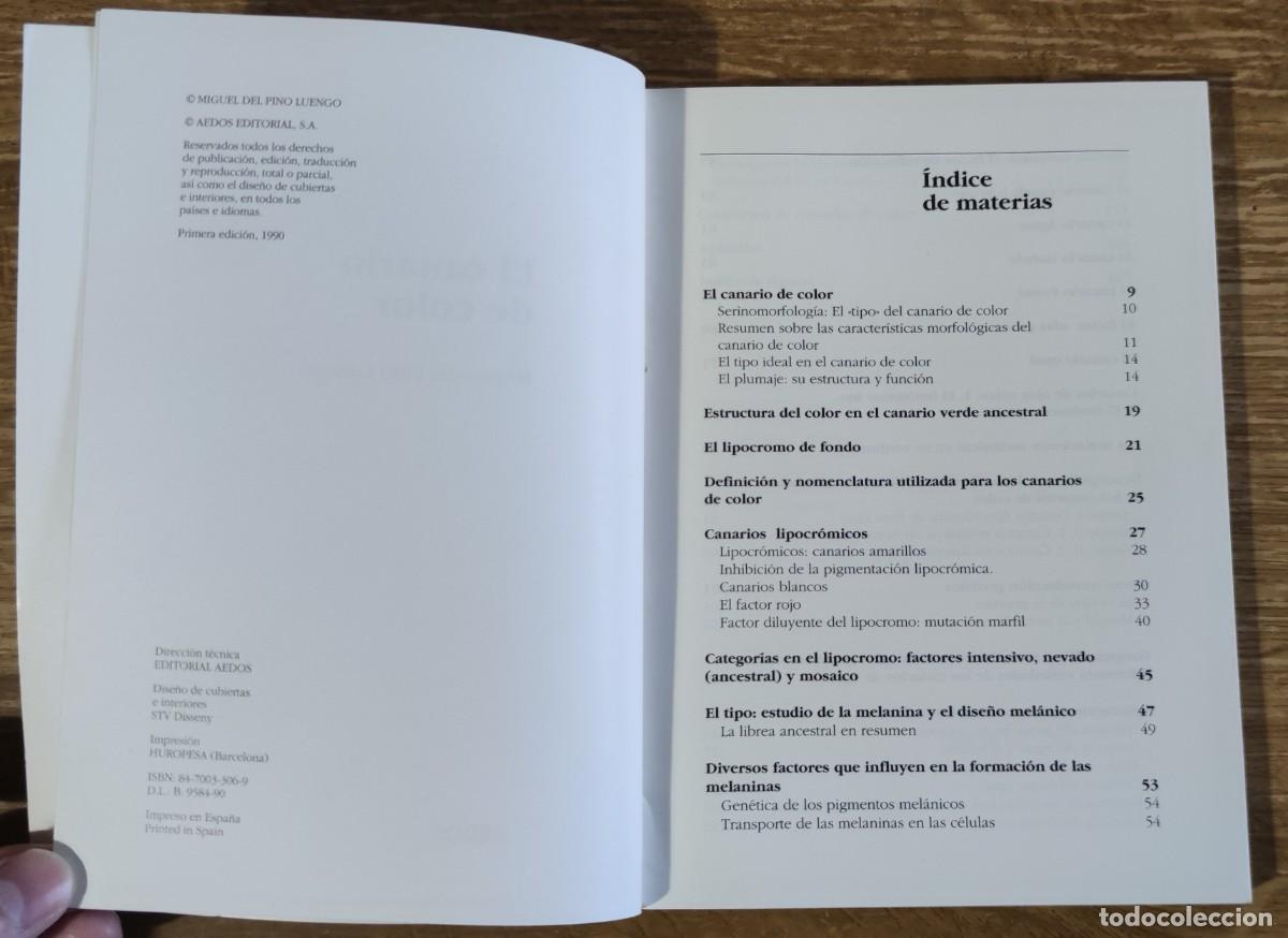 Libros de segunda mano: Libro - El canario de color (1990) Miguel del Pino Luengo - Foto 2