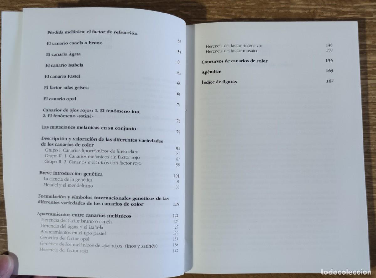 Libros de segunda mano: Libro - El canario de color (1990) Miguel del Pino Luengo - Foto 3