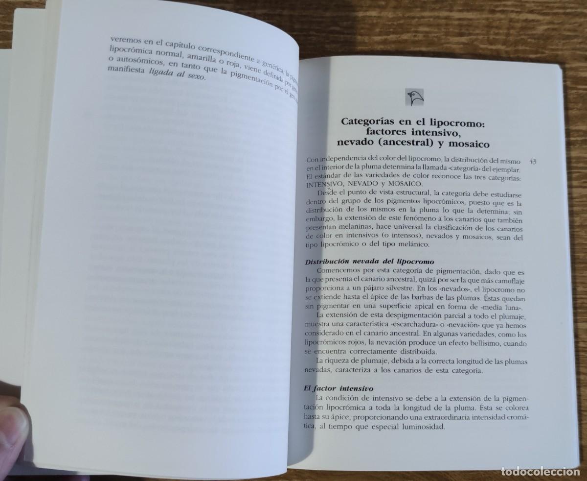 Libros de segunda mano: Libro - El canario de color (1990) Miguel del Pino Luengo - Foto 5
