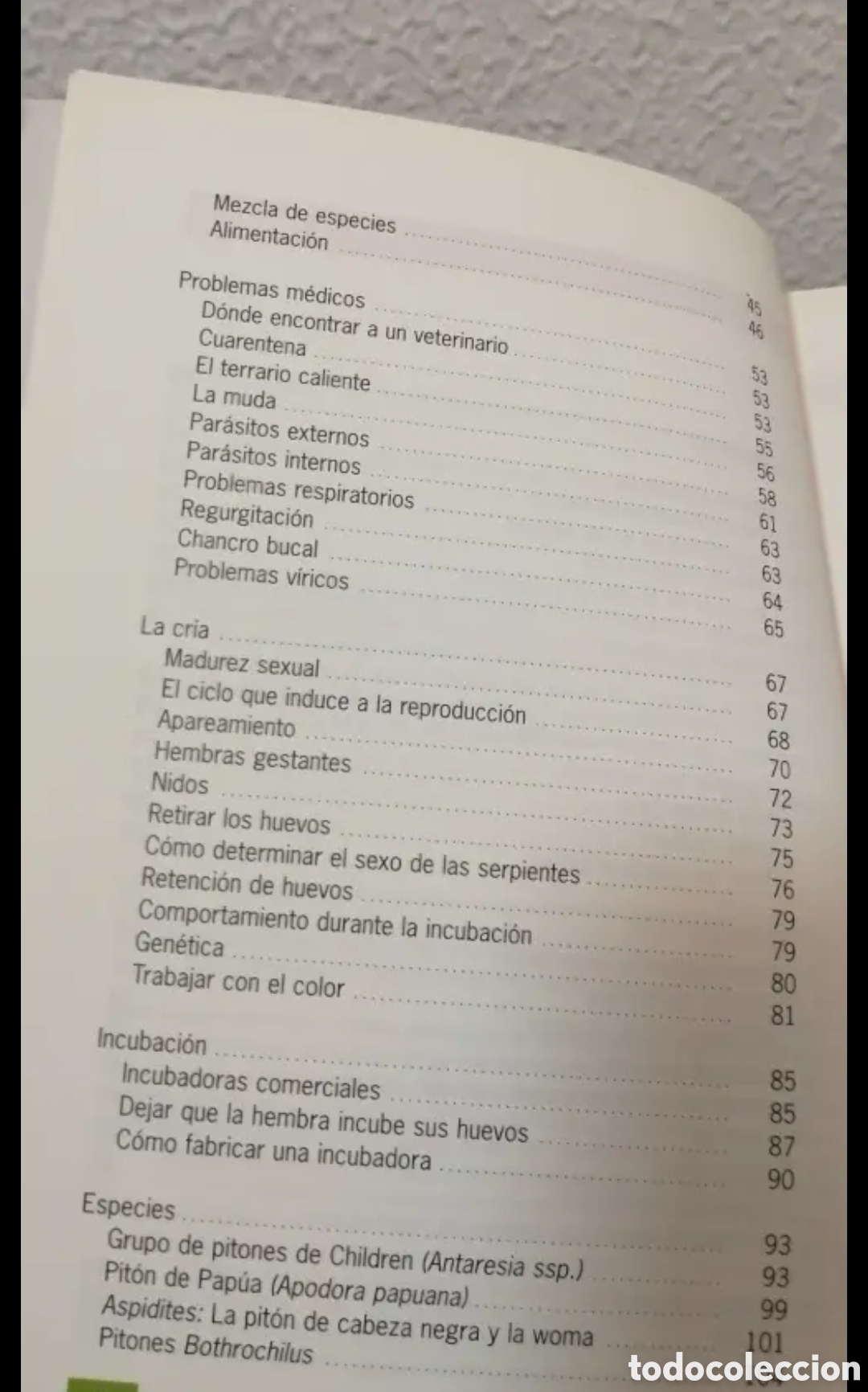 Libros de segunda mano: El nuevo libro de los Pitones Manual. Tikal ediciones 1997 - Foto 5