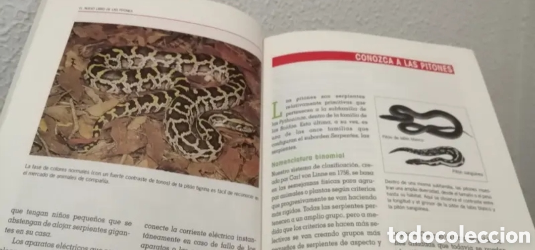 Libros de segunda mano: El nuevo libro de los Pitones Manual. Tikal ediciones 1997 - Foto 7