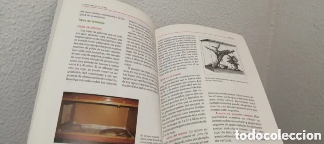 Libros de segunda mano: El nuevo libro de los Pitones Manual. Tikal ediciones 1997 - Foto 9
