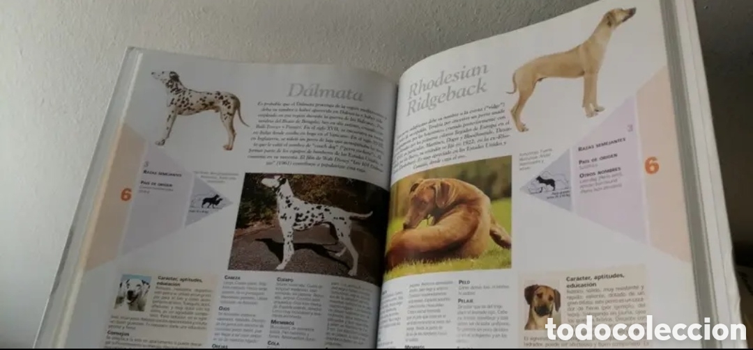 Libros de segunda mano: Enciclopedia del Perro Royal Canin Tomo 3 - Foto 5
