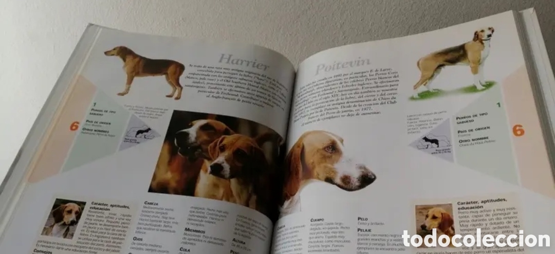 Libros de segunda mano: Enciclopedia del Perro Royal Canin Tomo 3 - Foto 6