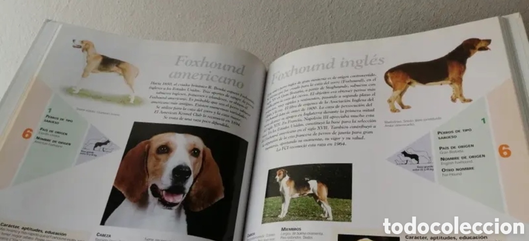 Libros de segunda mano: Enciclopedia del Perro Royal Canin Tomo 3 - Foto 7