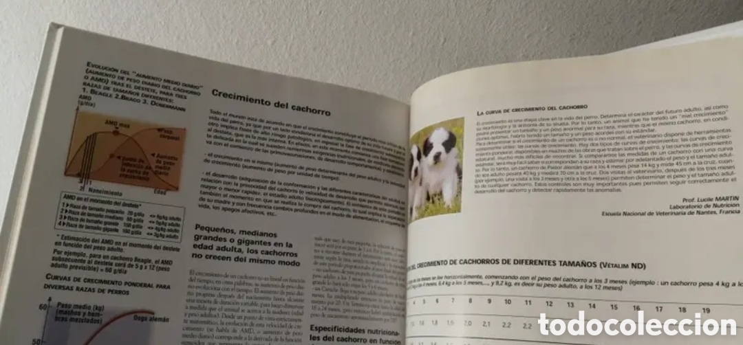 Libros de segunda mano: Enciclopedia del Perro Royal Canin Tomo 3 - Foto 8