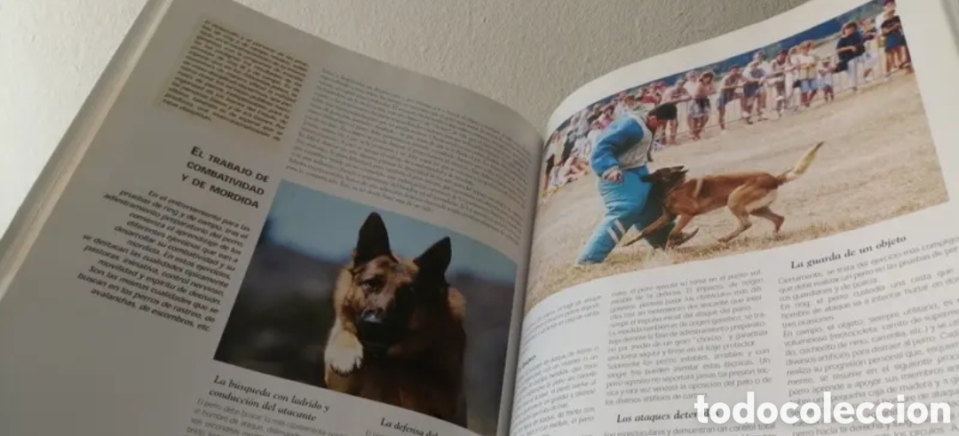 Libros de segunda mano: Enciclopedia del Perro Royal Canin Tomo 3 - Foto 9
