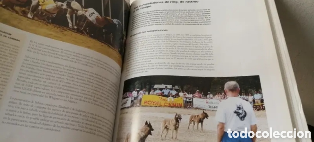 Libros de segunda mano: Enciclopedia del Perro Royal Canin Tomo 3 - Foto 10