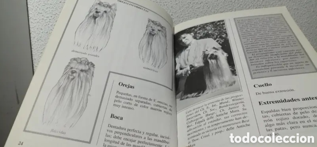 Libros de segunda mano: El Yorkshire Terrier. Manual Antonella Tomaselli. De Vecchi - Foto 4