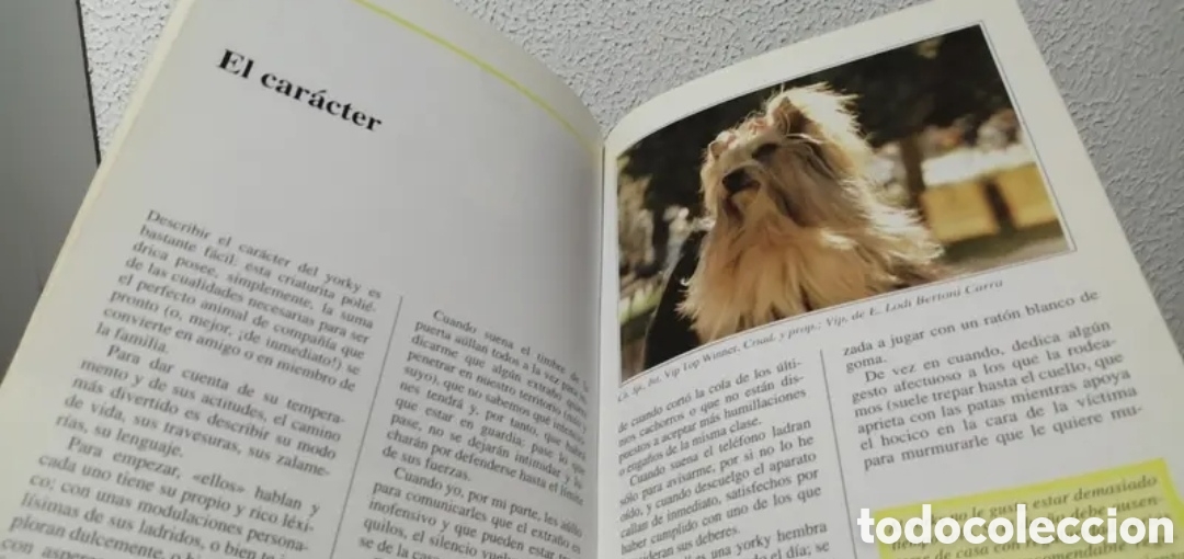 Libros de segunda mano: El Yorkshire Terrier. Manual Antonella Tomaselli. De Vecchi - Foto 5