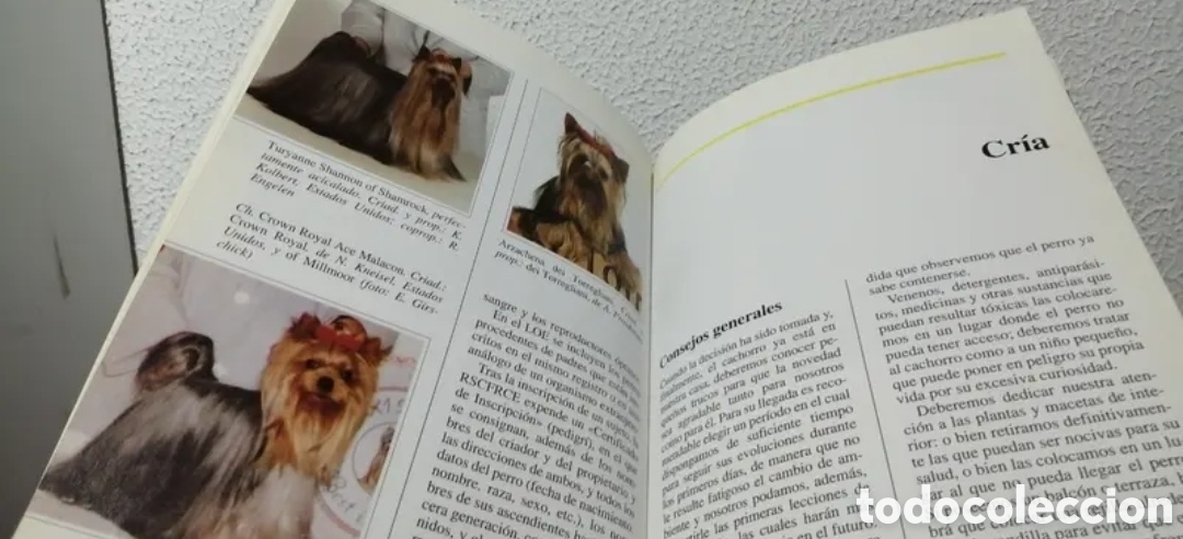 Libros de segunda mano: El Yorkshire Terrier. Manual Antonella Tomaselli. De Vecchi - Foto 6