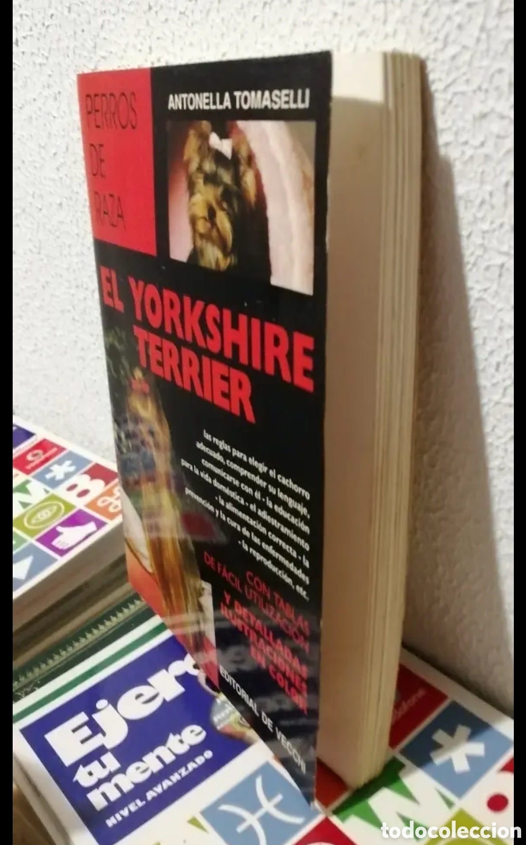 Libros de segunda mano: El Yorkshire Terrier. Manual Antonella Tomaselli. De Vecchi - Foto 9