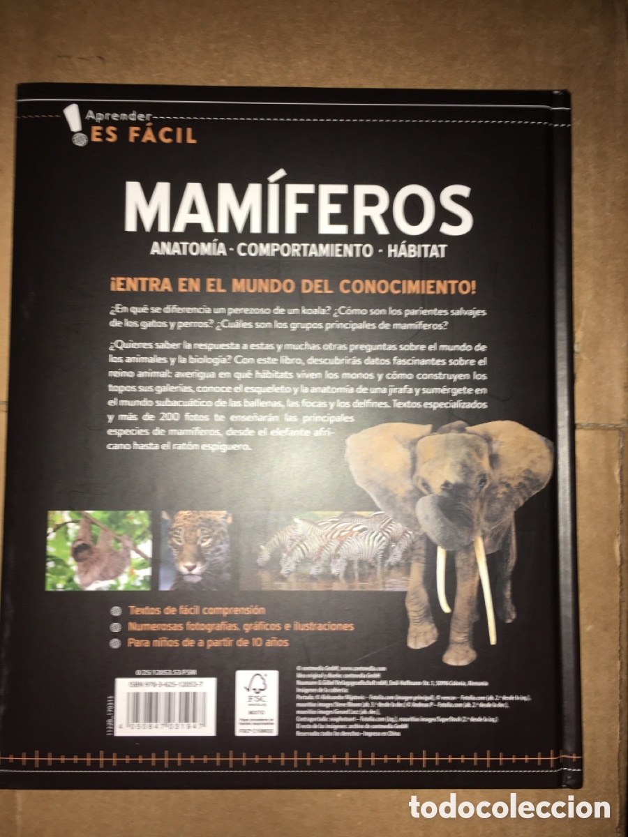 Libros de segunda mano: Aprender es facil mamiferos -Anatomia comportamiento, habitat - NGV - Foto 2