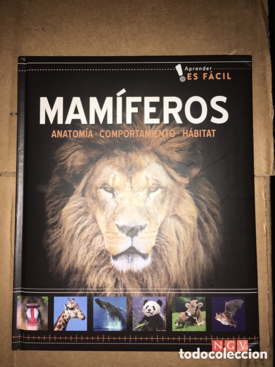 Libros de segunda mano: Aprender es facil mamiferos -Anatomia comportamiento, habitat - NGV - Foto 1