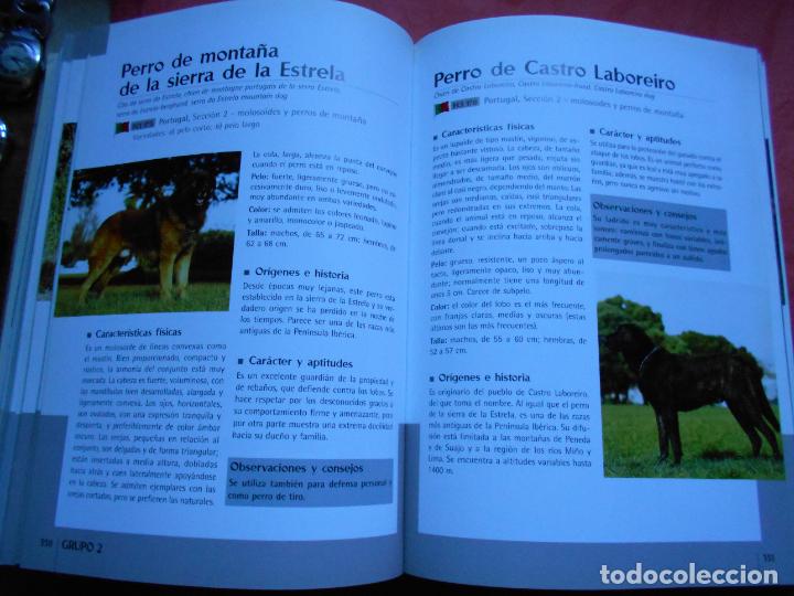 Libros de segunda mano: Enciclopedia mundial de perros 331 razas - Foto 3