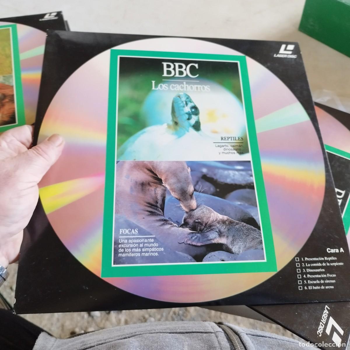 Libros de segunda mano: EL MUNDO DE LOS ANIMALES / 8 DISCOS / GRAVOL33 / - Foto 7