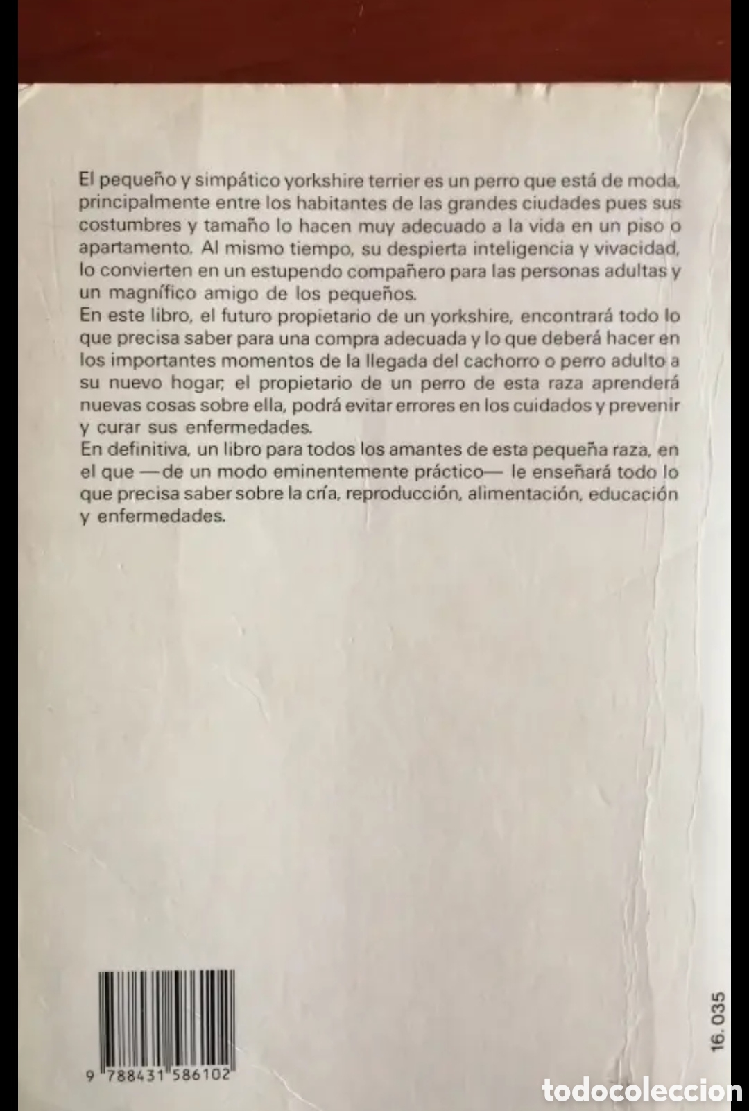 Libros de segunda mano: El Yorkshire Terrier. Giuliana Azzimonti. Manual libro - Foto 2