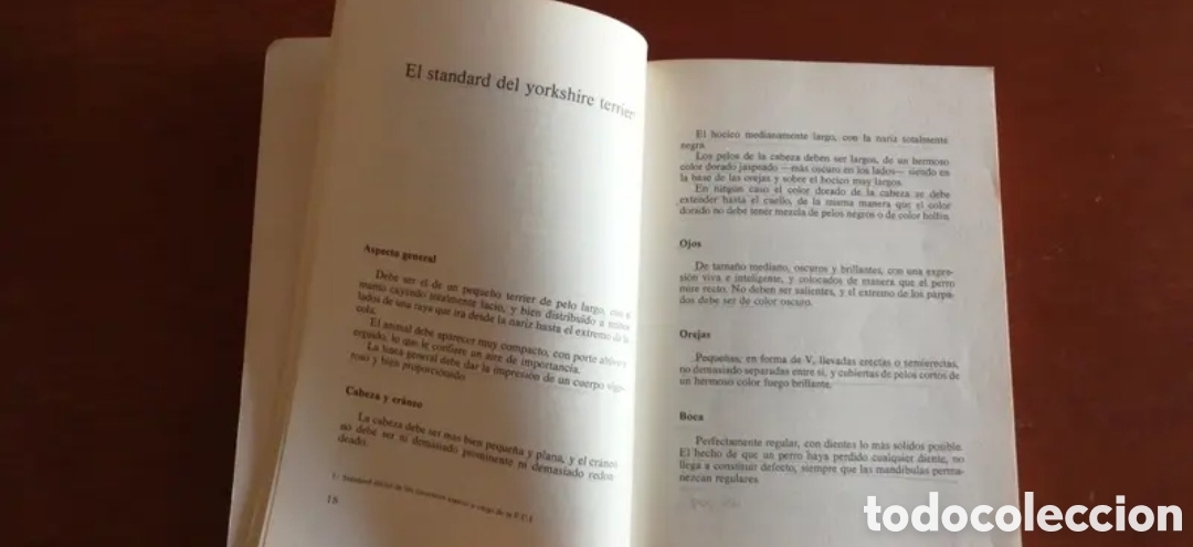 Libros de segunda mano: El Yorkshire Terrier. Giuliana Azzimonti. Manual libro - Foto 5
