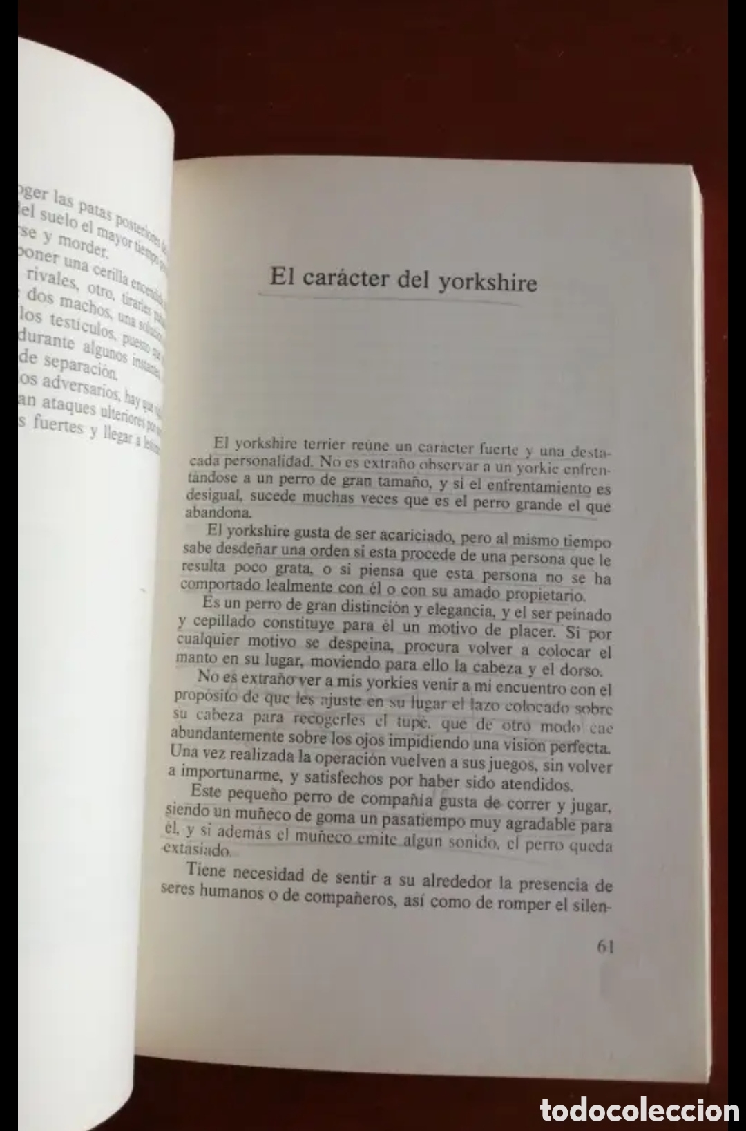 Libros de segunda mano: El Yorkshire Terrier. Giuliana Azzimonti. Manual libro - Foto 6