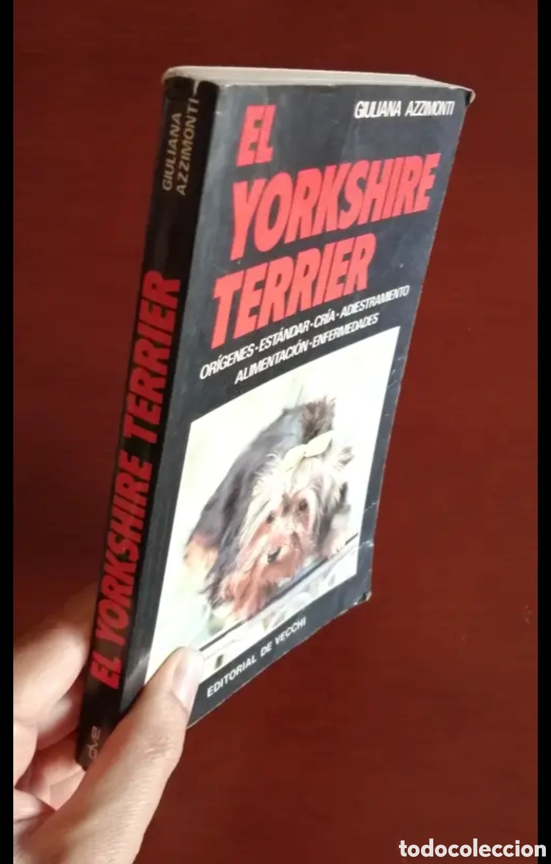 Libros de segunda mano: El Yorkshire Terrier. Giuliana Azzimonti. Manual libro - Foto 9