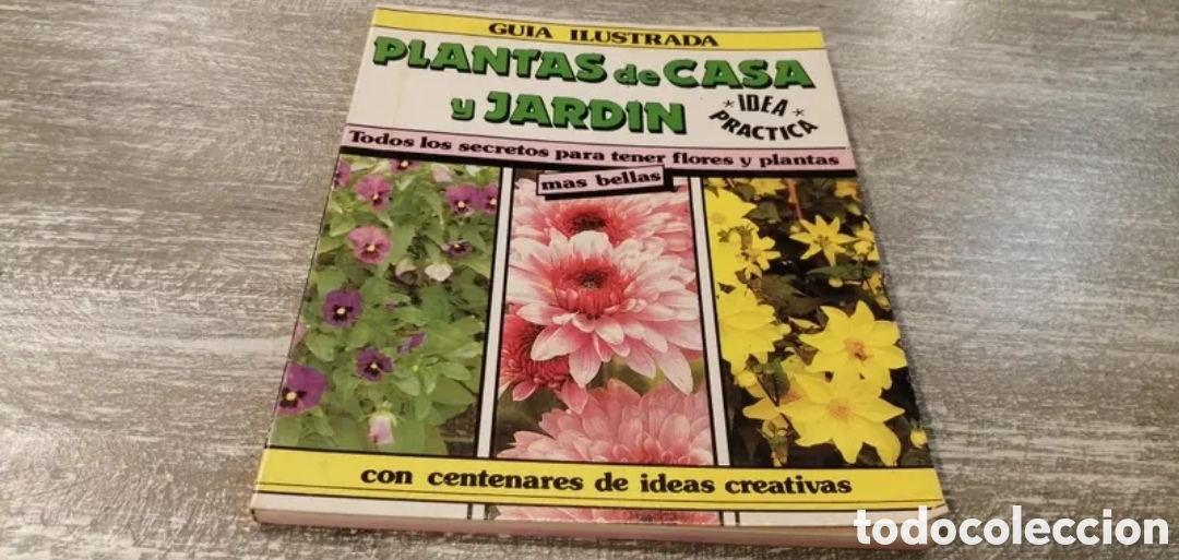 Libri di seconda mano: Plantas de Casa y Jard&iacute;n Gu&iacute;a Ilustrada. Todos los secretos para tener flores y plantas m&aacute;s bellas.