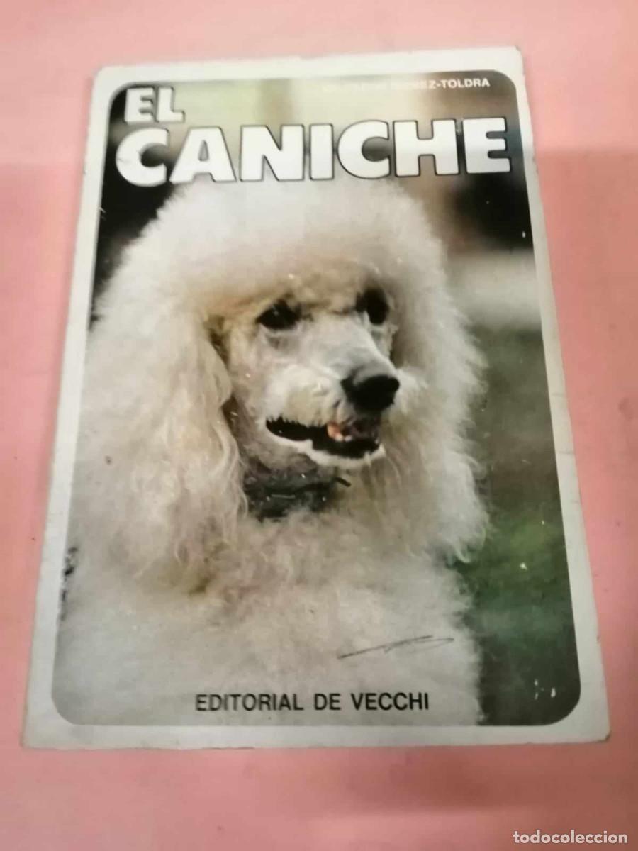 Libros de segunda mano: EL CANICHE (SALVADOR GOMEZ TOLDRA) EDITORIAL DE VECCHI - Foto 1