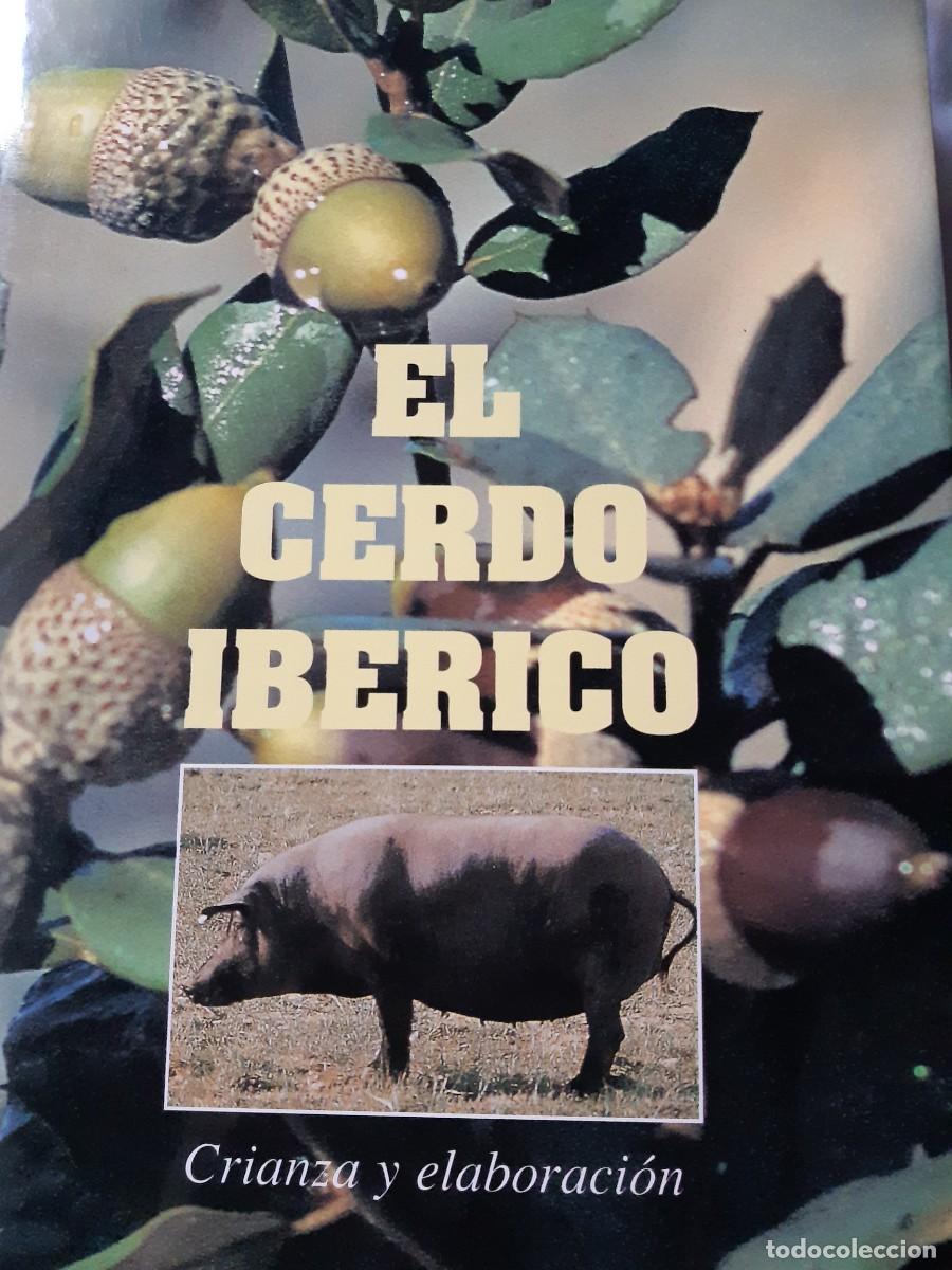 Libros de segunda mano: El cerdo ib&eacute;rico cr&iacute;a y elaboraci&oacute;n - Foto 1
