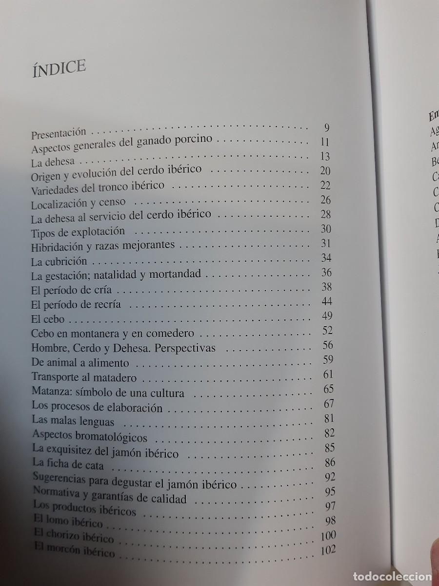 Libros de segunda mano: El cerdo ib&eacute;rico cr&iacute;a y elaboraci&oacute;n - Foto 2