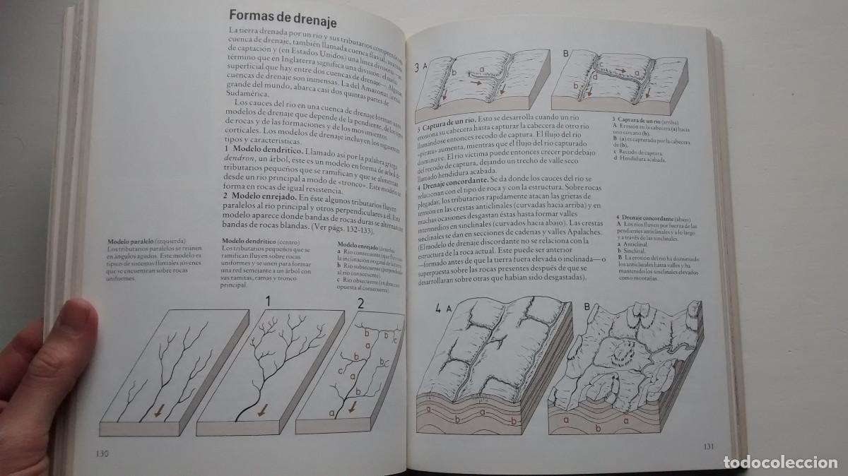 Libros de segunda mano: Gu&iacute;a Cambridge de la Tierra - David Lambert - Foto 4