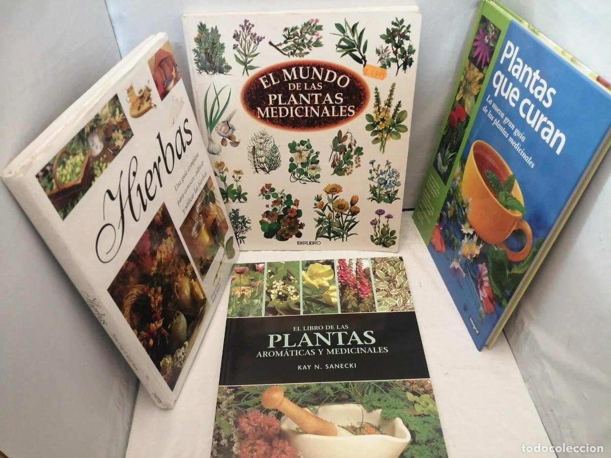 pack 4 libros hierbas y plantas medicinales: el - Compra venta en ...