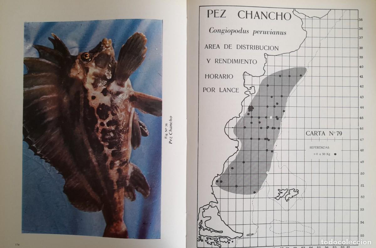 Gebrauchte B&uuml;cher: Peces marinos parag&oacute;nicos
