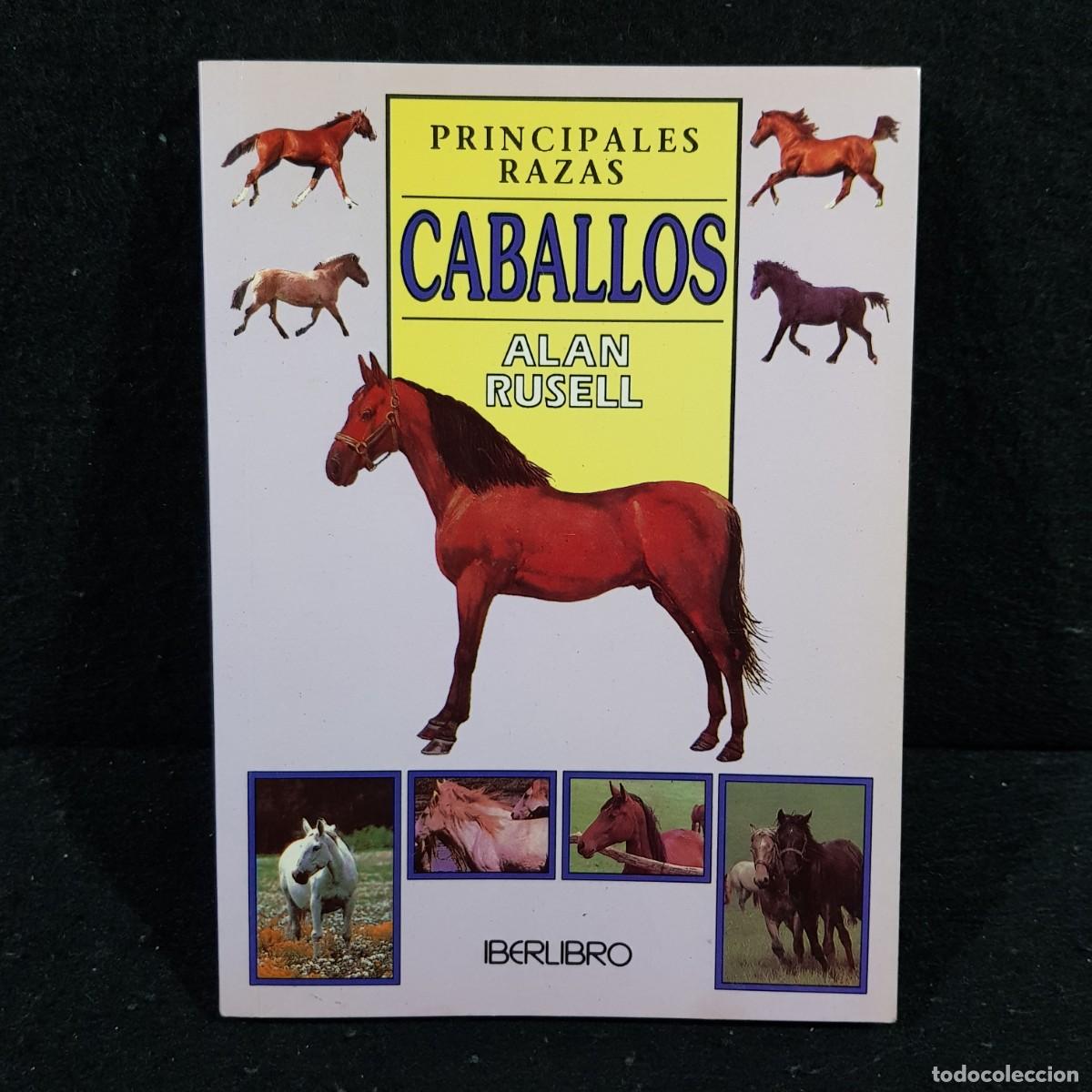 Libros de segunda mano: CABALLOS - ALAN RUSELL - PRINCIPALES RAZAS - IBERLIBRO / CAA 28.448 - Foto 1