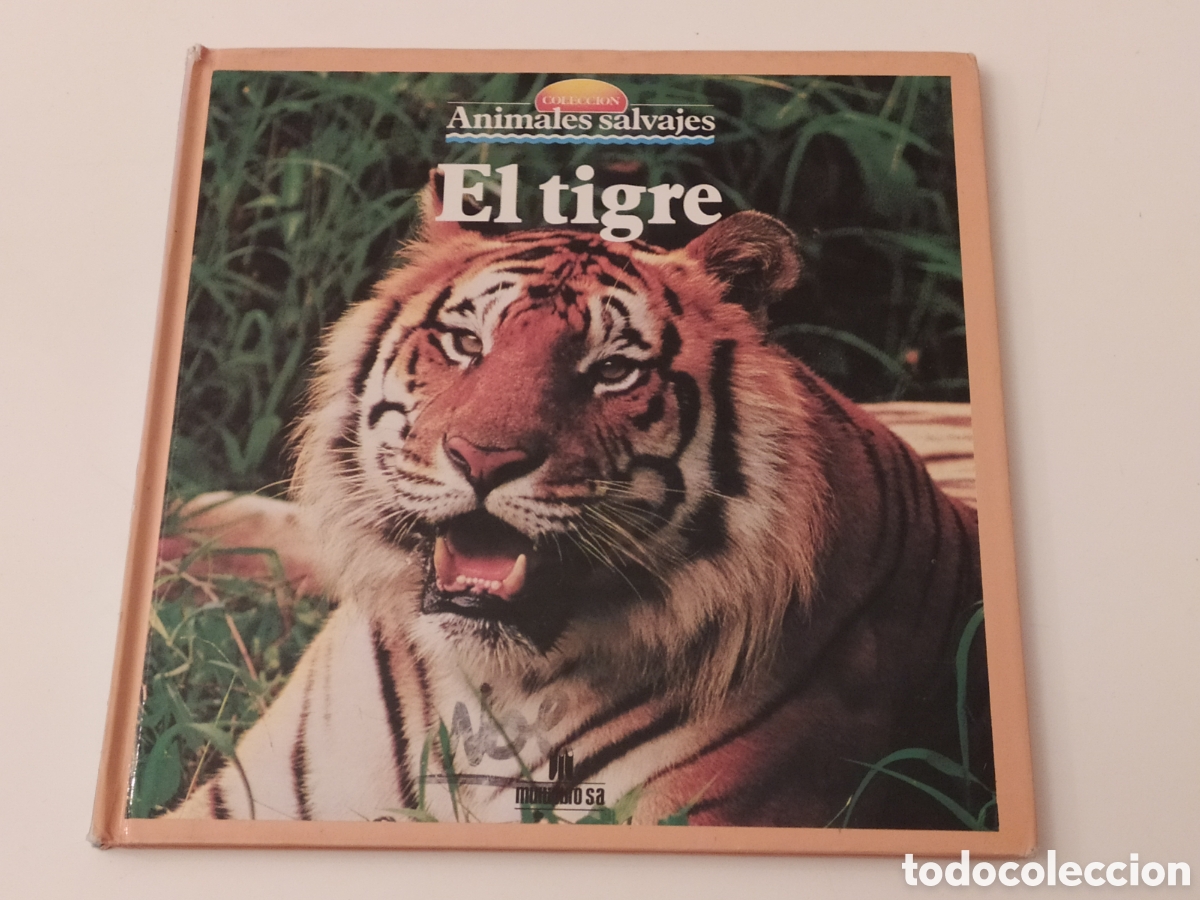 Libri di seconda mano: COLECCI&Oacute;N ANIMALES SALVAJES - EL TIGRE 1989