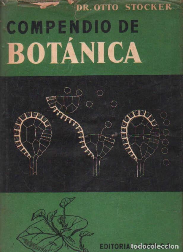 Libros de segunda mano: COMPEDIO DE BOT&Aacute;NICA. STOCKER, OTTO. A-BOT-142 - Foto 1