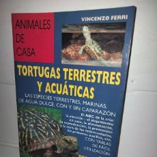 Libros de segunda mano: ANIMALES DE CASA - TORTUGAS TERRESTRES Y ACUÁTICAS - VICENZO FERRI - EDITORIAL DE VECCHI 1997