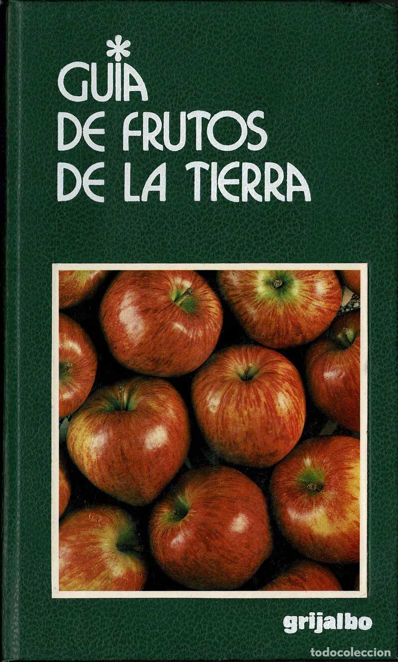 Libri di seconda mano: Gu&iacute;a de frutos de la tierra - Maria Vittoria Divincenzo