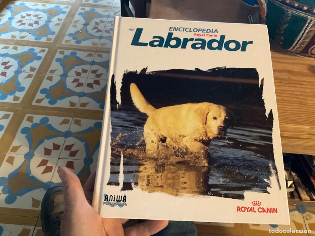Libros de segunda mano: Enciclopedia del labrador. Ed. Aniwa-Royal Canin. - Foto 1