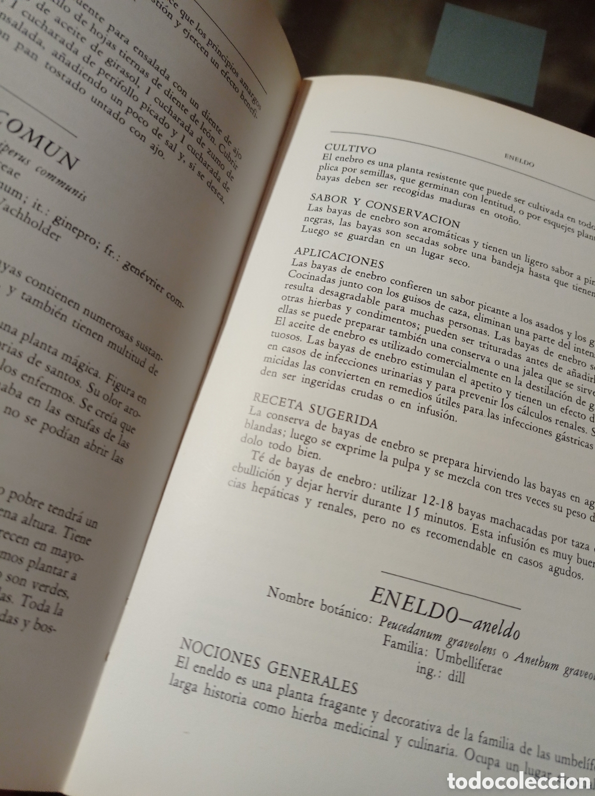 Libros de segunda mano: GUIA DE LAS HIERBAS Y ESPECIAS,364 PAGINAS - Foto 3
